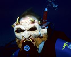 Devil fish. Seen on a Halloween night dive off Sunset Hou... by Michael Canzoniero 